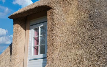 Coat thatch roof disadvantages